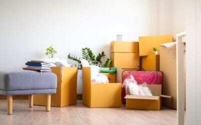 Guia do Guarda Móvel: o que é, quando solicitar e onde encontrar