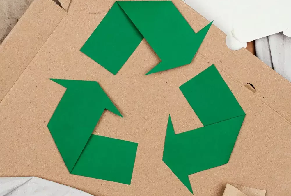 Por Que Optar por Mudanças Sustentáveis no RJ? Benefícios e Impactos