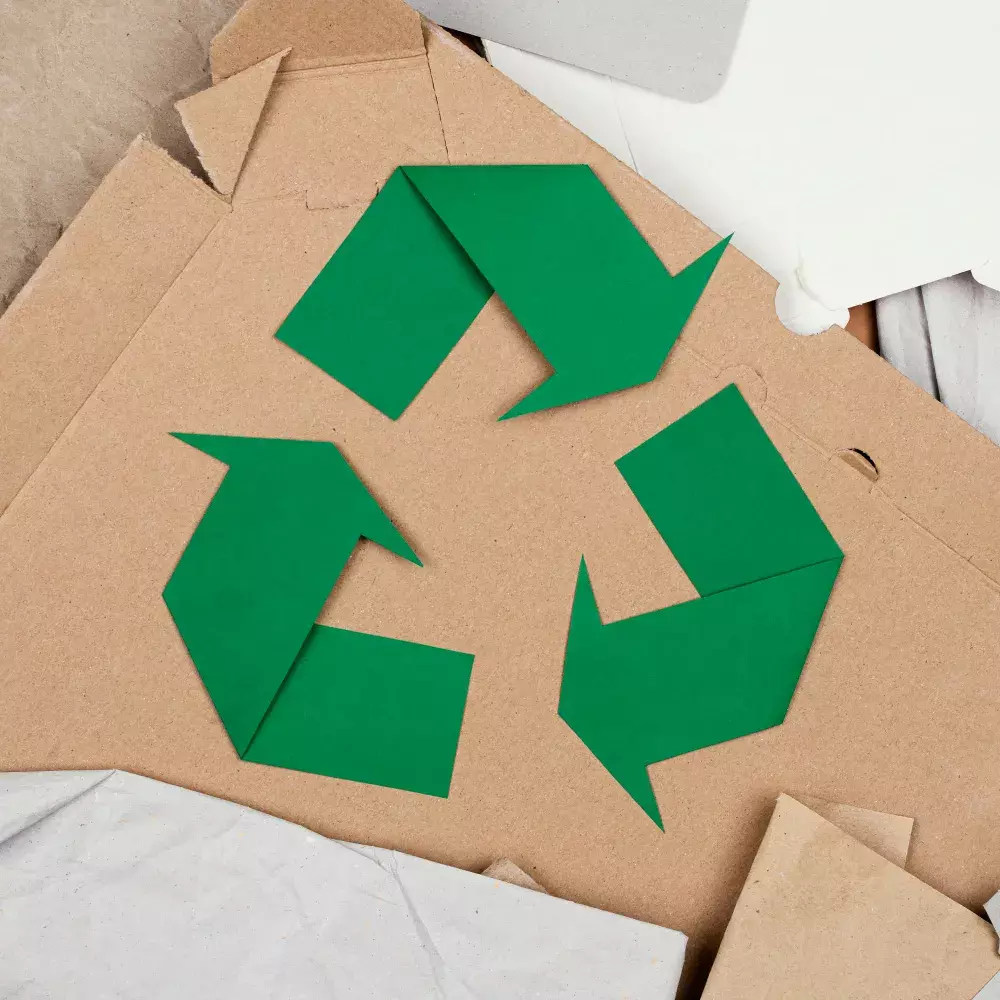 Por Que Optar por Mudanças Sustentáveis no RJ? Benefícios e Impactos
