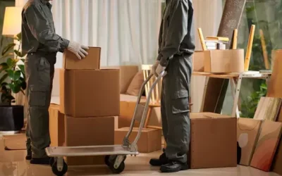 Fatores que Influenciam nos Valores das Mudanças Interestaduais