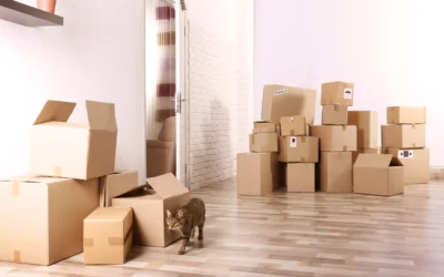 As 7 Perguntas Que Você Deve Fazer Antes de Contratar uma Empresa de Mudança no Rio