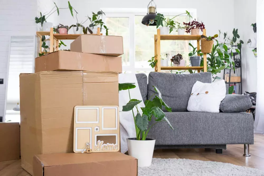 Dicas da Brava Mudanças para Mudanças em Prédios Altos e Condomínios de São Paulo