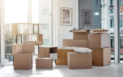 Mudanças em São Paulo: Como se Preparar para o Trânsito Intenso e as Ruas Movimentadas da Capital