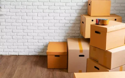 Mudanças Interestaduais com Saída de São Paulo: Como a Brava Mudanças Reduz Custos e Tempo de Viagem