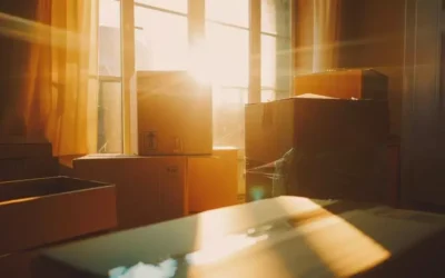 Mudanças na Zona Leste de São Paulo: Como Organizar o Transporte em Áreas com Ruas Estreitas e Subidas