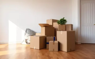 Mudanças SP x Brasília: O que muda no transporte, no cronograma e na proteção dos móveis