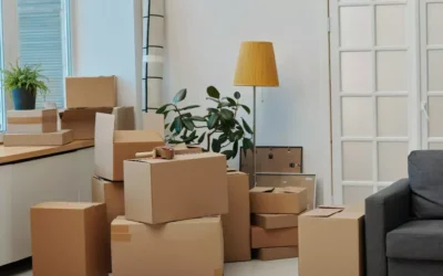 Mudanças SP x Rio: Como a Brava Mudanças otimiza viagens longas entre as duas capitais