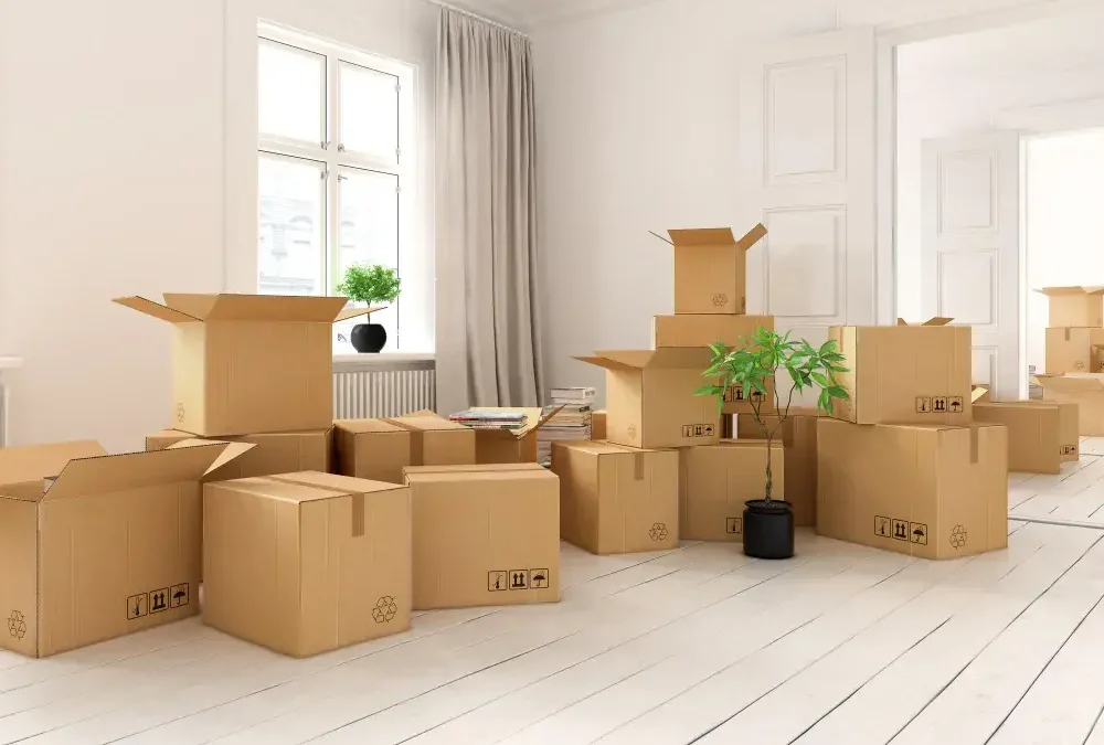 Mudança em Niterói: bairros mais atendidos e principais desafios logísticos