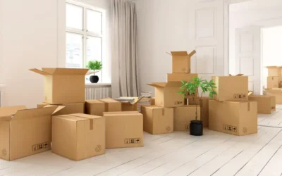 Mudança em Niterói: bairros mais atendidos e principais desafios logísticos