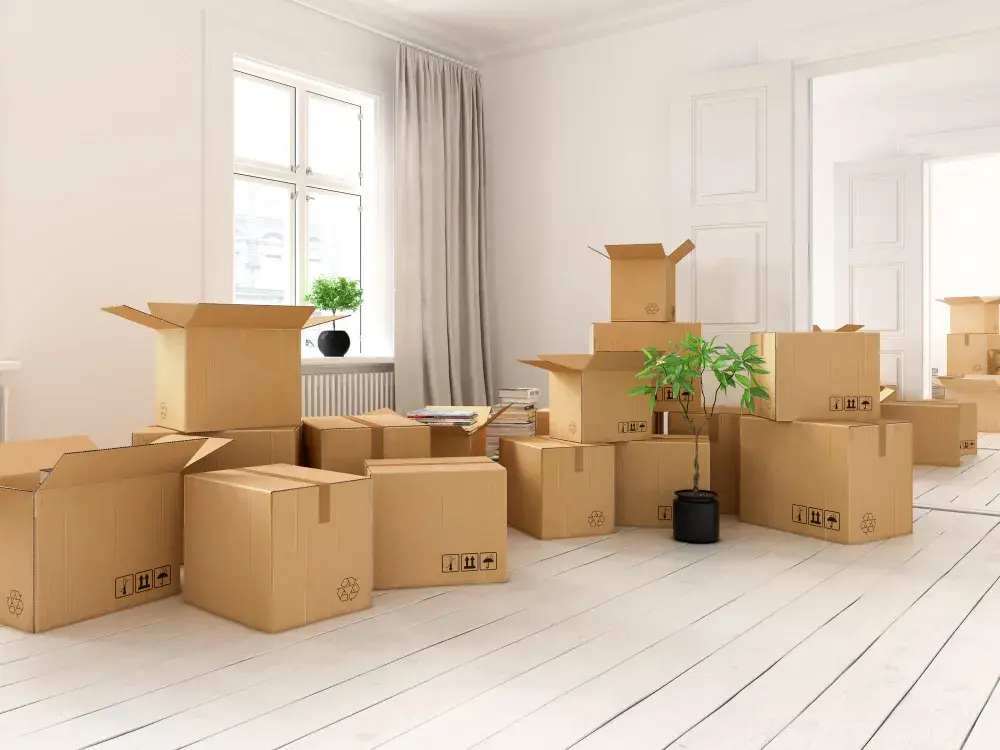 Mudança em Niterói: bairros mais atendidos e principais desafios logísticos